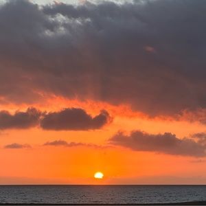 Meet your Posher, Ann